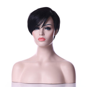HAIRJOY Woman Synthetic Wigs Natural Black Hair Wig 6 Colors Available Free Shipping