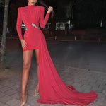 High Neck Long Sleeve Bodycon Long Tail Without Belt  Dresses